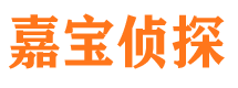 河东调查事务所